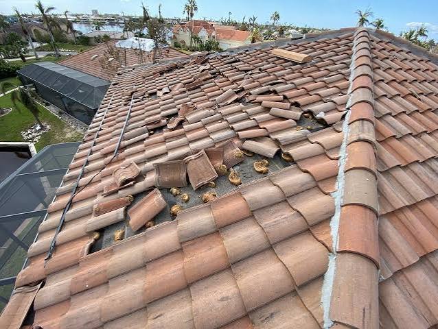 Storm Damage