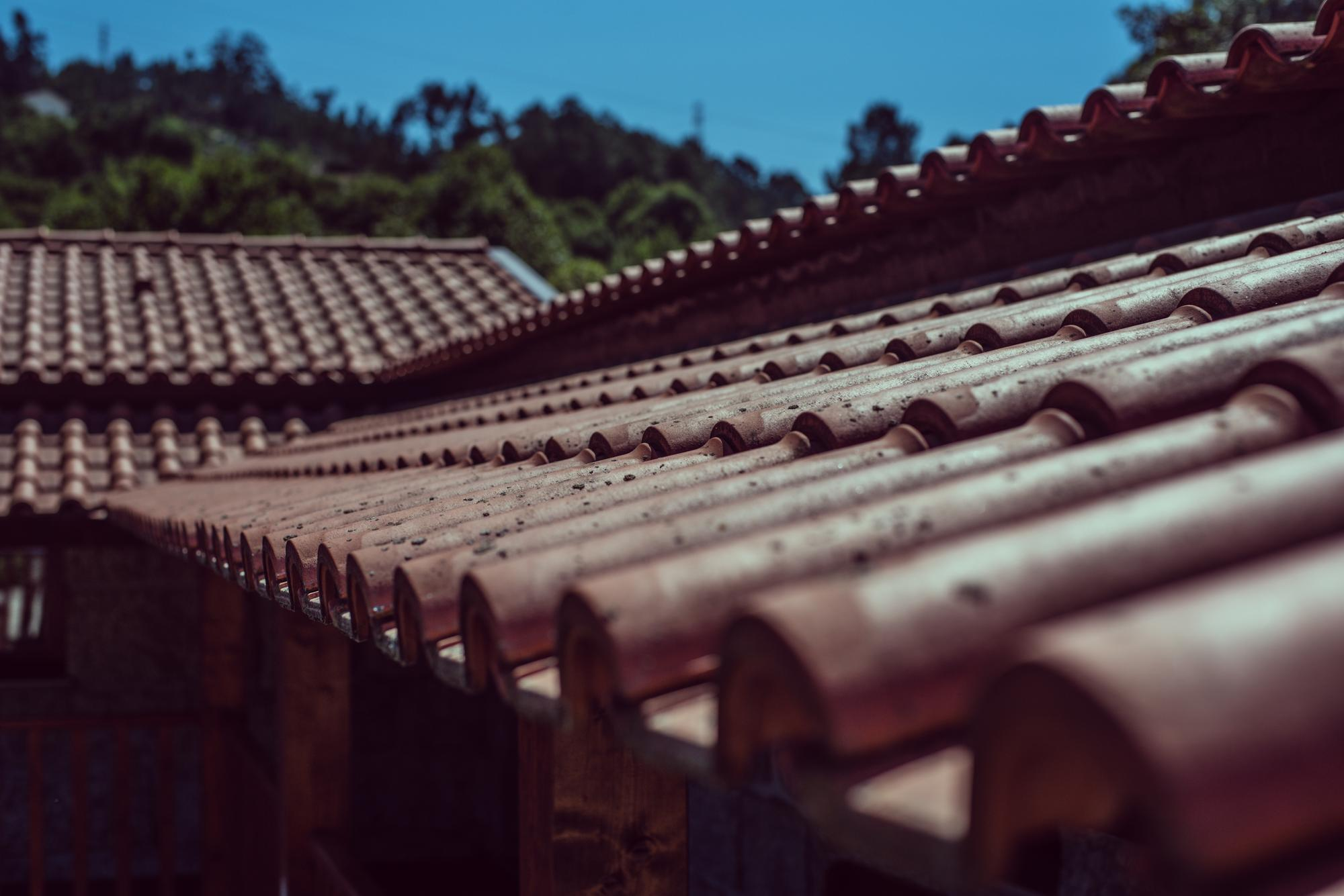 Shingle Roofing Contractors